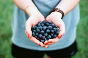 community blueberries - Divert