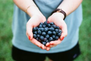 blueberry farmers