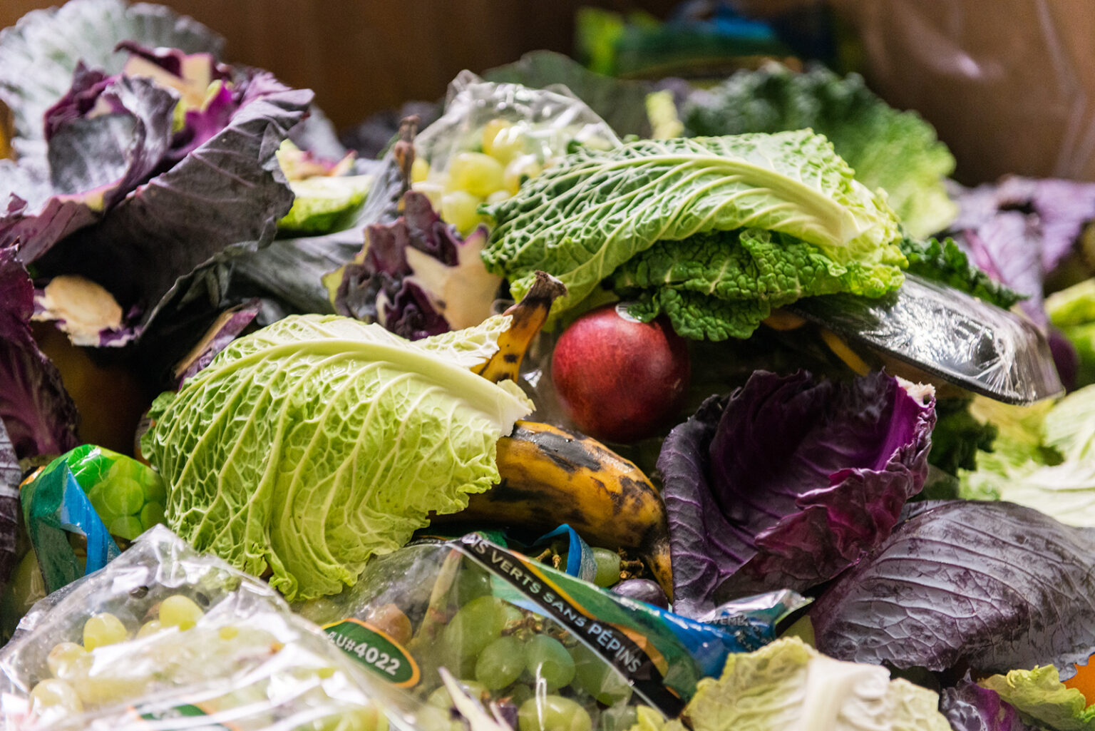 Waste 360 Divert Scales Waste Reduction Plans Divert