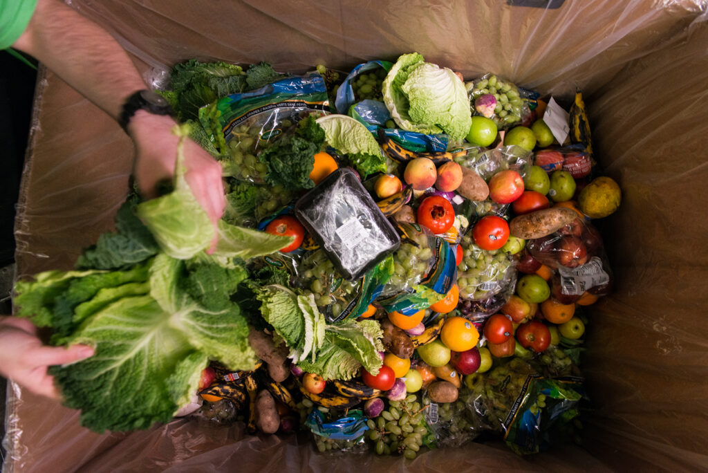 Unsold food collected in a bin