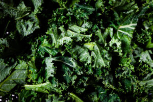 Deborah-rainford-3ujcymblnya-unsplash