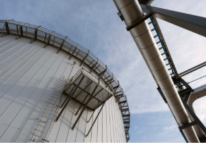 Food system circularity is recovering hidden value and reducing waste image 4 - divert