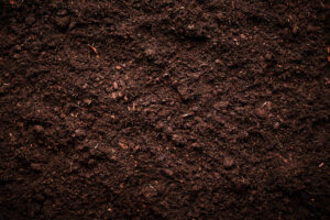 imagery of soil