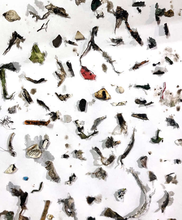 Plastic contamination